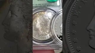 1880 S Proof Like VS 2023 Morgan Proof! #numismatics #subscribe #shorts #shortvideo #silverstacking