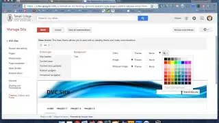 Using Colorpick Eydropper and PicMonkey to pimp your Google Site