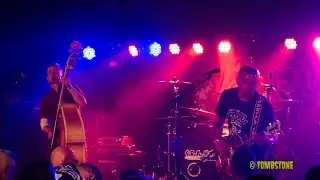 Damage Done By Worms - Mexico - Berlin 2016