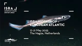 ISRA Workshop &ndash; European Atlantic Region, 17&ndash; 21 May 2025, The Hague.