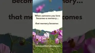 Comforting Quotes- Treasure- meditative thoughts, dealing with grief, healing reflections #shorts