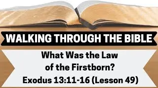 What Was the Law of the Firstborn? [Exodus 13:11-16][Lesson 49][W.T.T.B.]