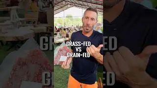 Is grass-fed beef better?