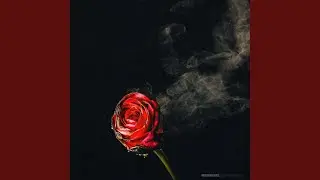 Love No More