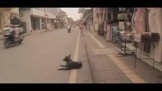 Streets of Ubud Bali | Cinematic Travel Video | Sony A7iii