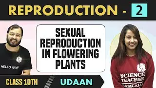 How do Organism Reproduce? 02 | Sexual Reproduction in Flowering Plants | Class 10 | NCERT | Udaan