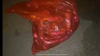 1 ₺ toplamaya devam alkol tüketme noktalarını geziyoruz