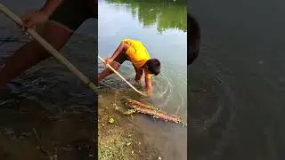 Amazing Tata Fishing Video In River _ part 368 #fish