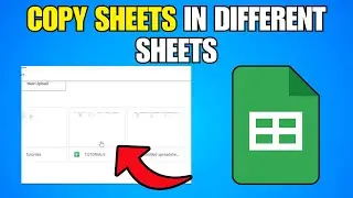 How To Copy A Sheet To A Different Spreadsheet In Google Sheets (Step By Step Guide)