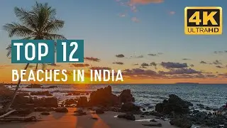 Top 12 Famous Beaches In India 4k