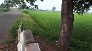 Kadiyadda | West Godavari 28.08.2021