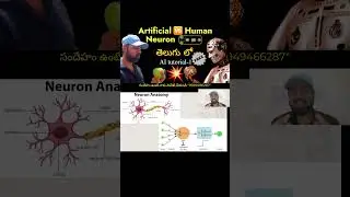 How dose an artificial neuron learn? manual training of neuron with an example: AND gate