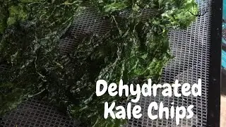 How to Make Kale Chips in the Dehydrator {RECIPE VIDEO}