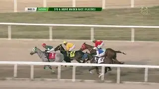 RACE 5 FEB 1 3YO & ABOVE MAIDEN RACE PLACERS