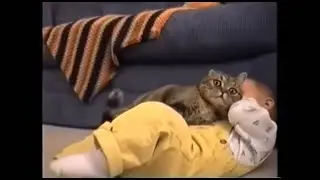 Funny Cats & Kids &ndash; Hilarious 80s & 90s Home Video Moments 😺