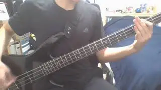 Dear Diary - Bring Me The Horizon | Bass cover (sorry for the cuality)