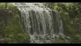 Littlebredy Lake & Waterfall May 2025