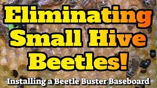 How to Install a Beetle Buster Baseboard. Easy Step-by-step instruction