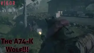 Vigor The A74-K Wolf!!!