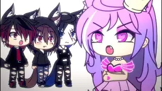 why am I getting yelled at by a bunch of EMO PEOPLE???