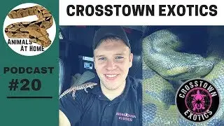 Running a Traveling Reptile Show Business | Crosstown Exotics- The Animals at Home Podcast