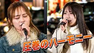 富金原祐菜＆加藤梨菜『群青/富金原祐菜』路上ライブ（もっちゃん。すとりーと）
