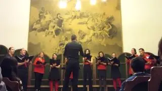 Aula Kamarakórus (vezényel:  Halász Károly): Madáretető (Lackfi János versére)
