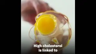 Eat 2 Eggs or More for Health? &bull; Vital Signs w/ Brendon