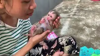 Cute Baby Monkey Being Cared for by a Kind Human 🐒💖 | Heartwarming Moments