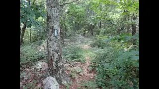 The Tuscarora Trail in PA:   Buchanan State Forest- (section hike)  25 mile linear trek