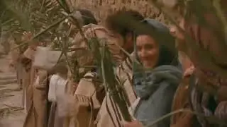 Visual Bible - John 12:12 - 19 - Jesus' entry into Jerusalem (Palm Sunday)