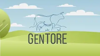 GenTORE Animation Video - Precision Phenotyping for Efficient Animal Agriculture