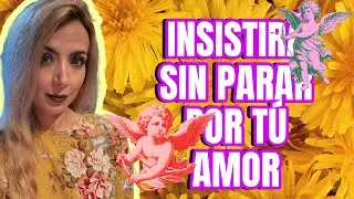 INSISTIRÁ SIN PARAR POR TÚ AMOR #tarot