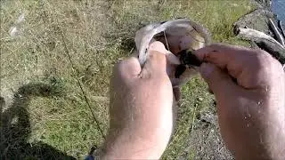 Guadalupe Reservoir BAss Fishing
