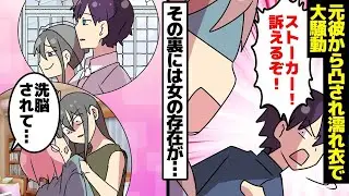 元彼「このストーカー！いい加減にしないと訴えるからな！」私「は？」ある日、元彼に突然絡まれ、無実の罪を着せられて大騒ぎに。しかし、その背後には信じられない女性が……