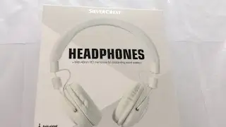 CHEAP TECH Silver Crest Headphones 🎧