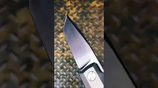 Feeding an Impulse🤪#edcknives #knifecommunity #knifefanatics #shorts #edc #shortsfeed