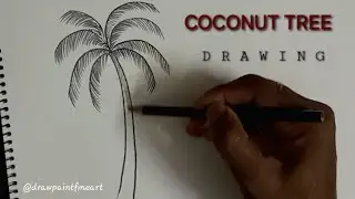 Easy Coconut Tree Drawing 🌴 | Shading Drawing