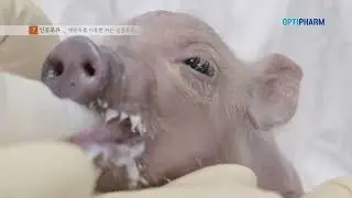 2023 생명자원연구센터