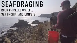 Poke Pole Fishing and Seaforaging: Rock Prickleback Eel Tacos & Limpet Ceviche