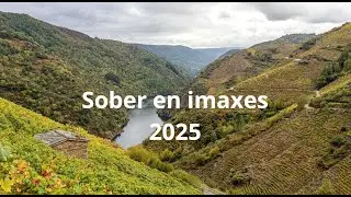 Sober 2025