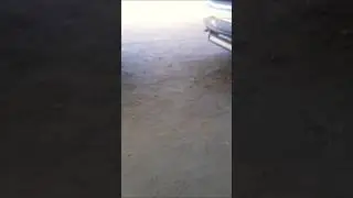 12 de noviembre de 2024