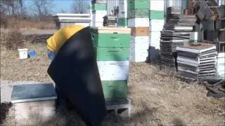 Beekeeping: How To Wrap Your Bee Hive For Winter
