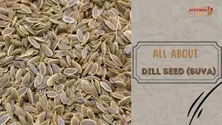 All About dill seeds  | Wholesale Spices Suppliers In South Africa | KitchenHut (Pty) Ltd