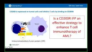 Unleashing T Cells for Adoptive Immunotherapy Webinar