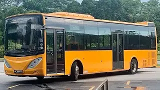 Sentosa | Volvo B9L | PC3947T | Bus D