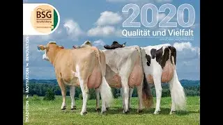 Jahreskalender Besamungsstation Greifenberg 2020 - mit K&uuml;hen und Bullen in das neue Jahr!