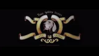 TOUS   Tender Stories N&ordm;5   English