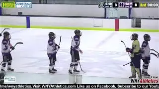 Section VI Federation Boys Hockey Playoffs: SH/Depew vs Hamburg
