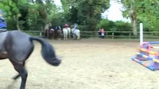 Castlewarden Pony and Country Club lessons
